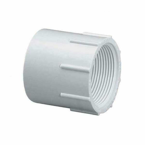 Thrifco Plumbing 1-1/4 Inch Slip x Female Thread PVC Adapter SCH 40 8113062